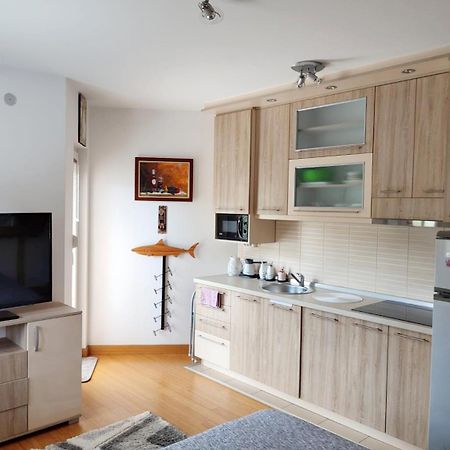 Apartman Lux Sneznik Vrnjacka Banja Ngoại thất bức ảnh